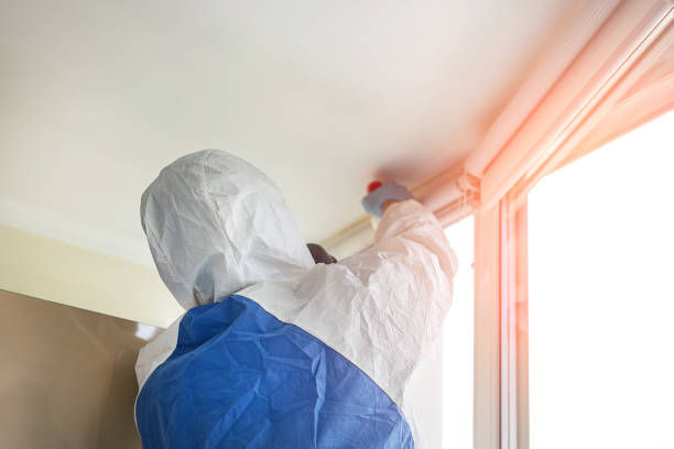 Why You Should Choose Our Mold Remediation Services in Hornsby Bend, TX