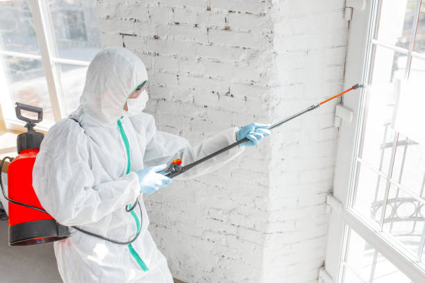 Best Biohazard Mold Removal  in Hornsby Bend, TX