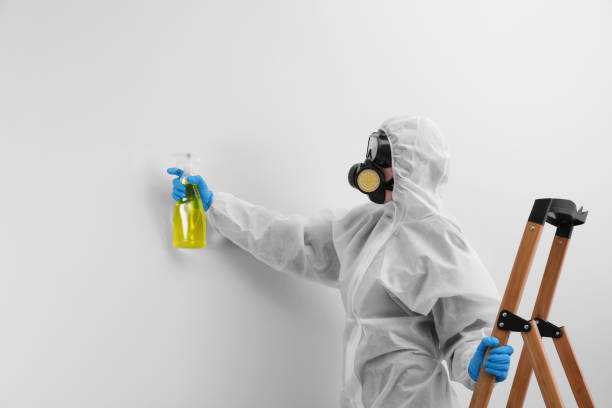 Best Industrial Mold Remediation  in Hornsby Bend, TX